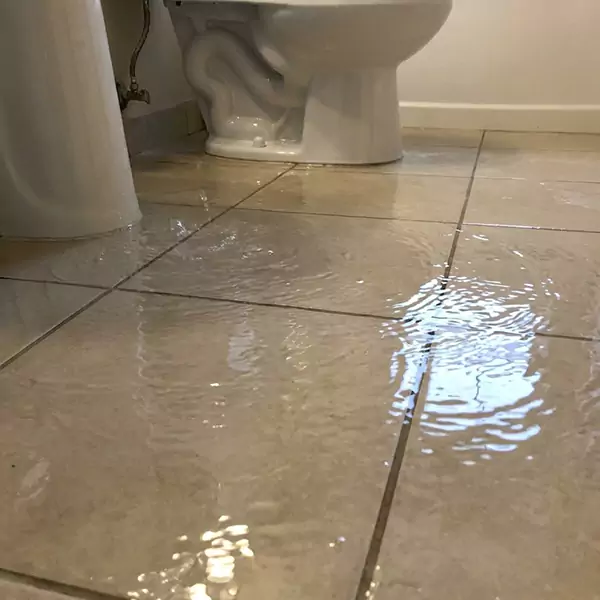 Expert Flooded Bathroom Restoration in Wellington, FL 