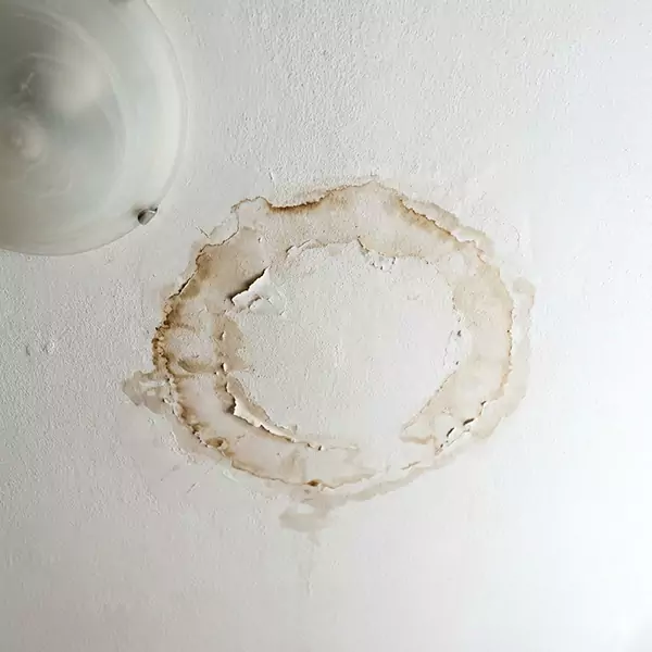 Leaking Ceiling Repair in Wellington, FL 