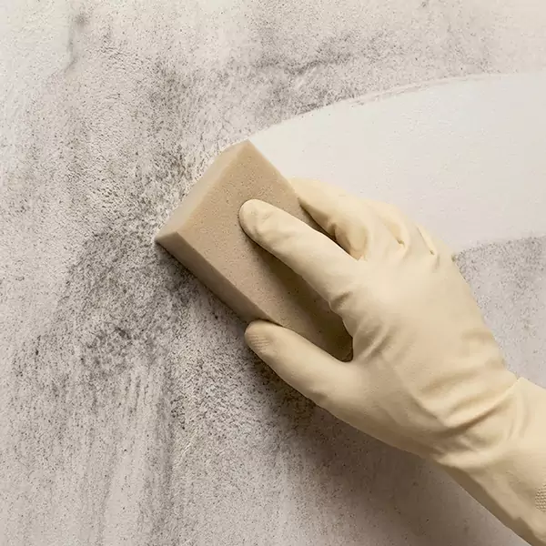 Smoke Cleaning in Wellington, FL 