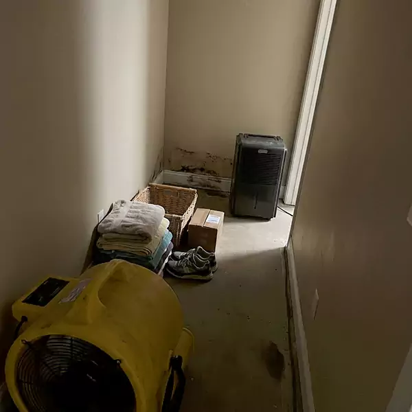 Expert Water Remediation in Wellington, FL 