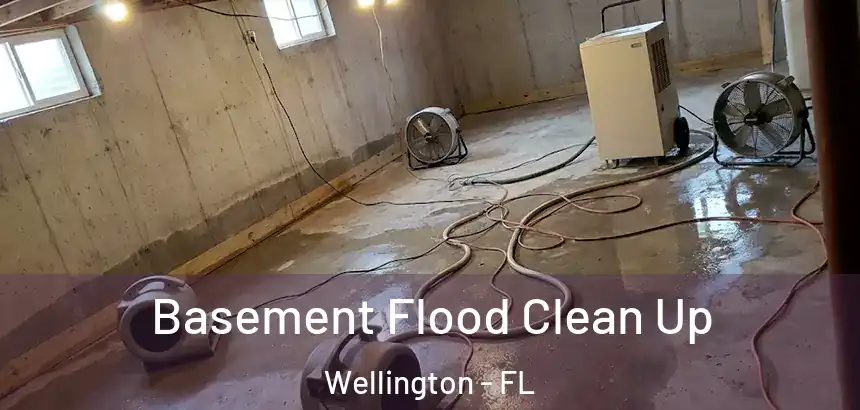  Basement Flood Clean Up Wellington - FL