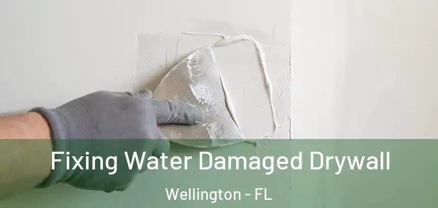  Fixing Water Damaged Drywall Wellington - FL