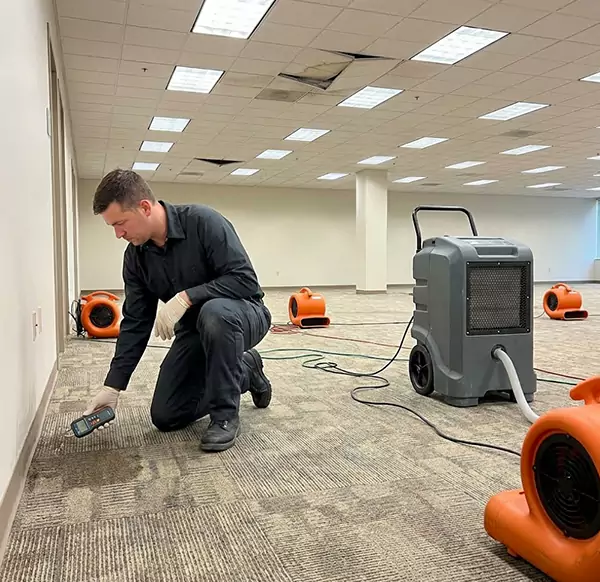 Why Businesses Choose Wellington Water Restoration for Commercial Water Damage in Wellington, FL?