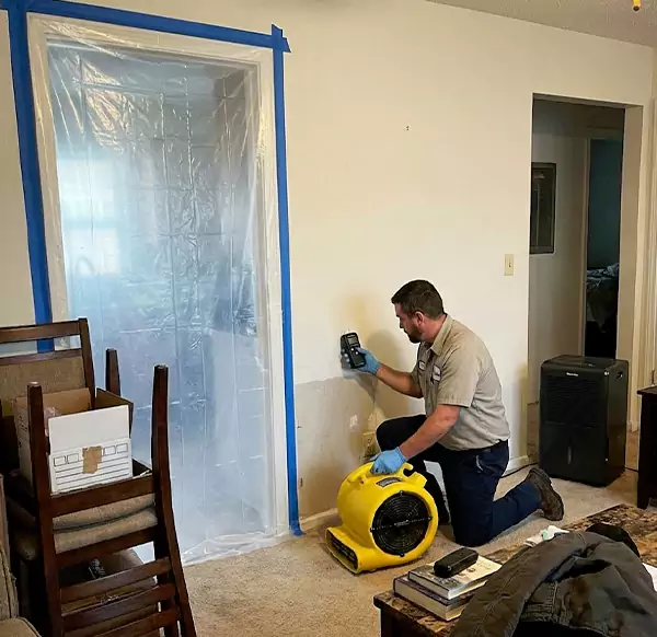 Why Homeowners & Businesses Choose Wellington Water Restoration for Water Remediation in Wellington, FL?